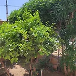 Lumera بيت للعطل سانتا فلافيا
