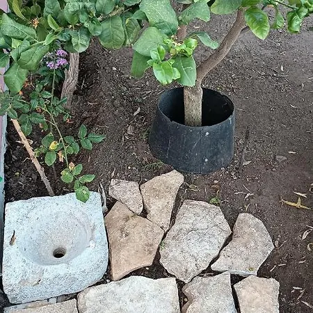 Lumera Дом отдыха *